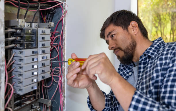 Best Electrical Upgrades for Homes  in Andover, MN